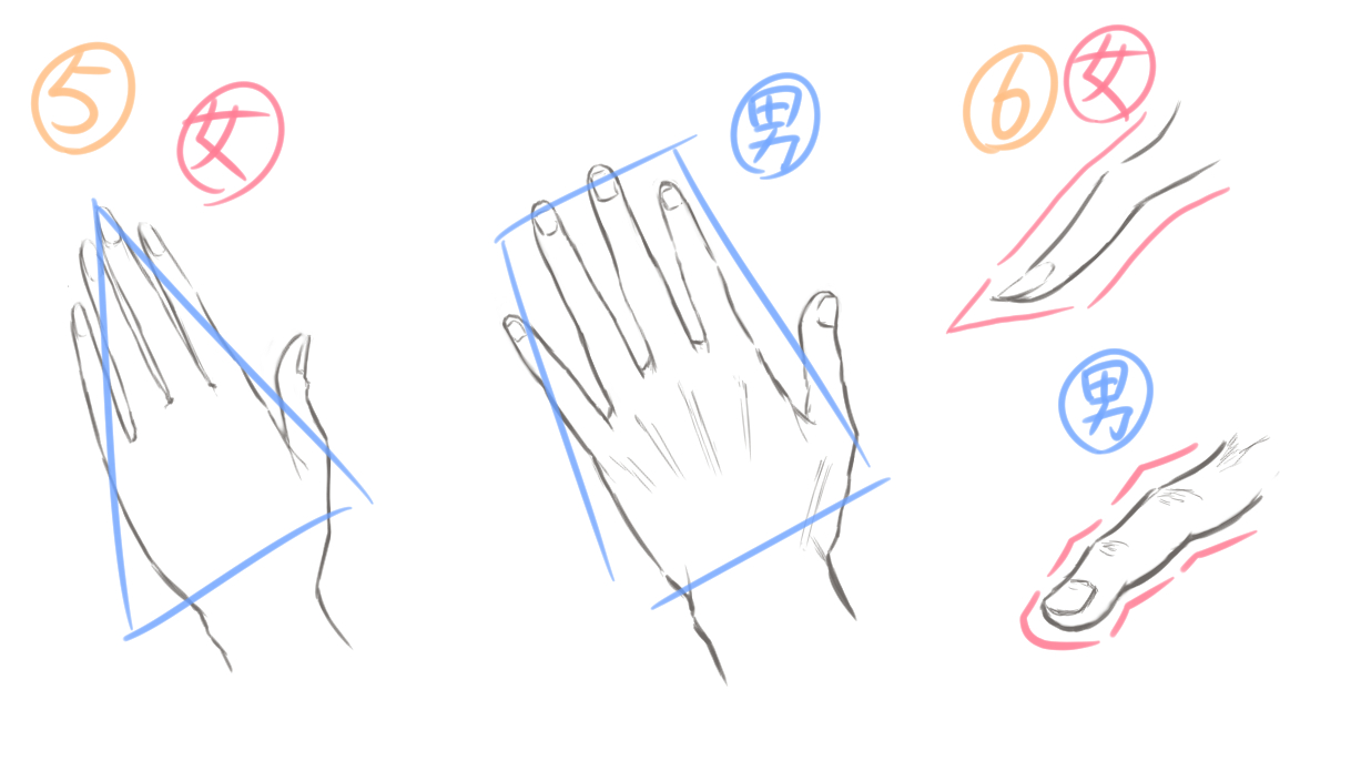 連載 第六回 手を描くと絵が上手くなる 形でとらえる手の描き方