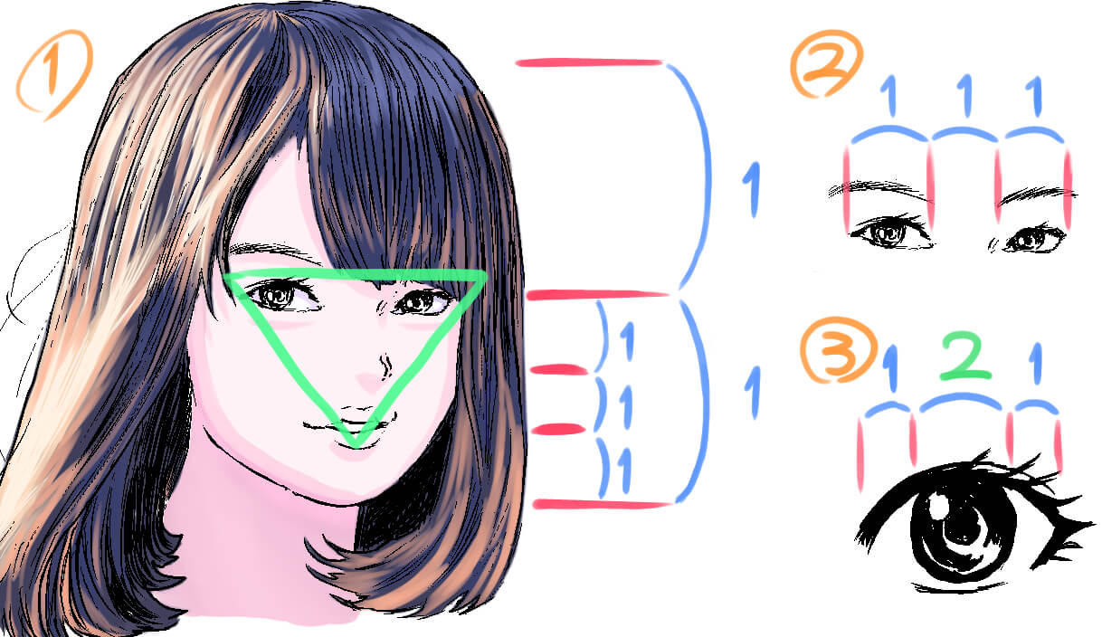 連載 第五回 目の高さはどのくらい 顔の黄金比率をマスターせよ